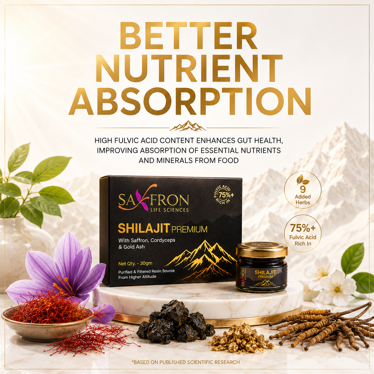 Himalyan Shilajit - Premium