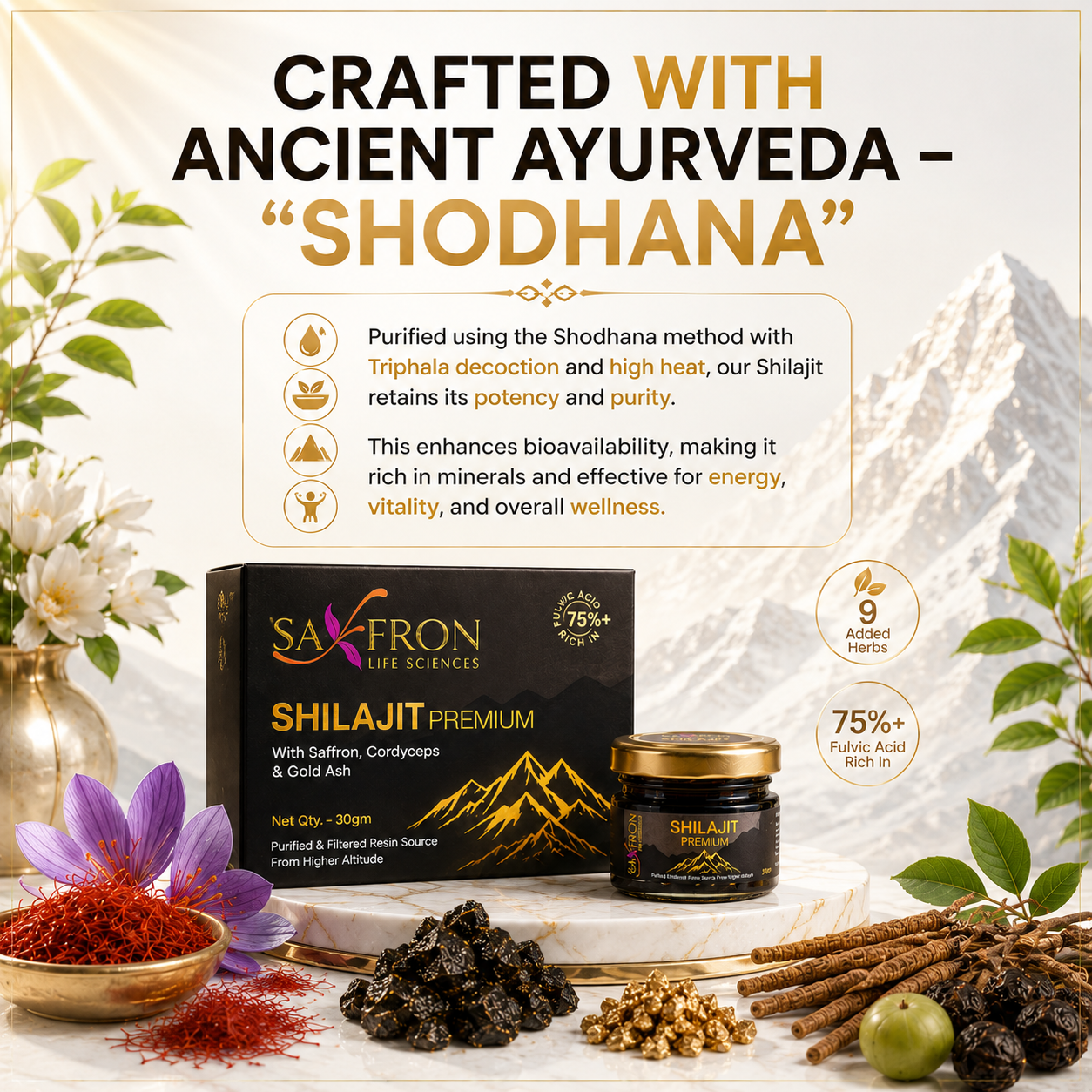Himalyan Shilajit - Premium