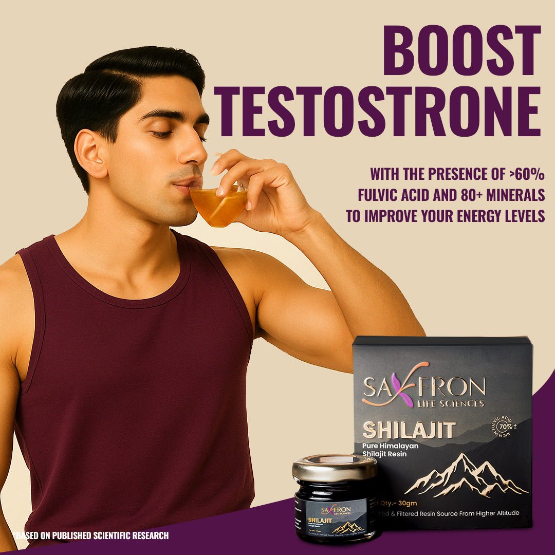 Himalyan Shilajit (3 Months Pack)