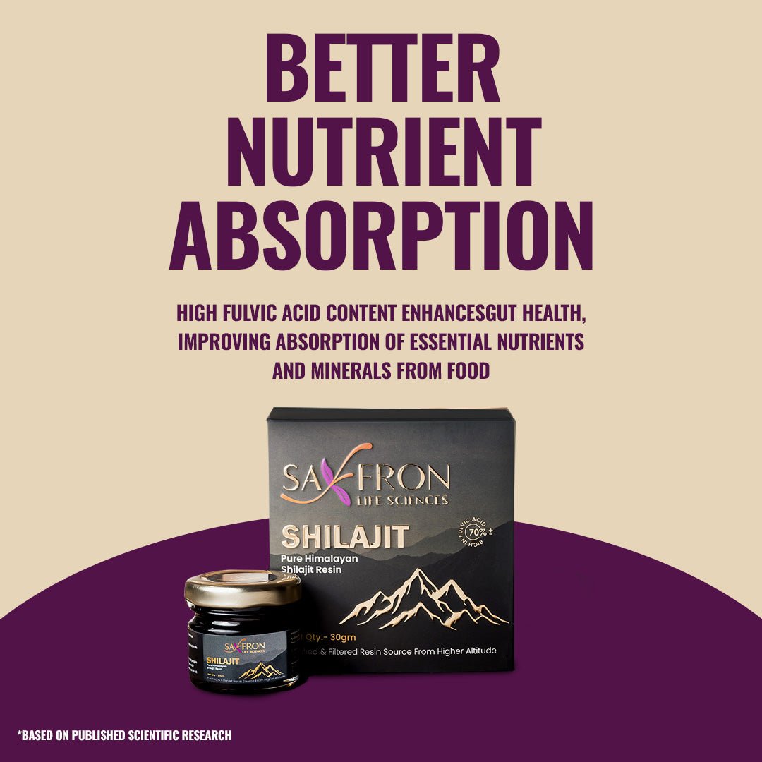 Himalyan Shilajit (3 Months Pack)
