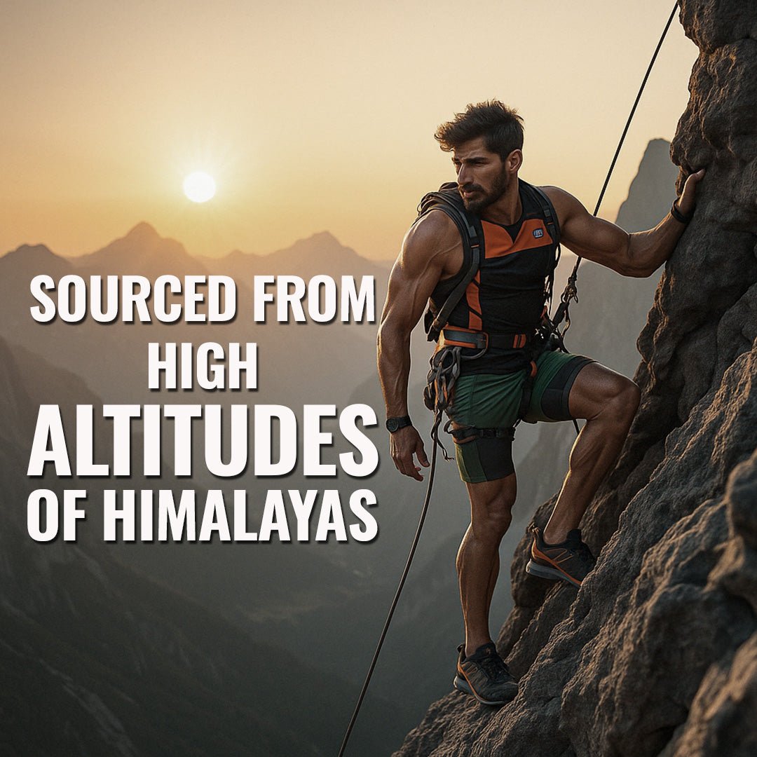 Himalyan Shilajit (3 Months Pack)