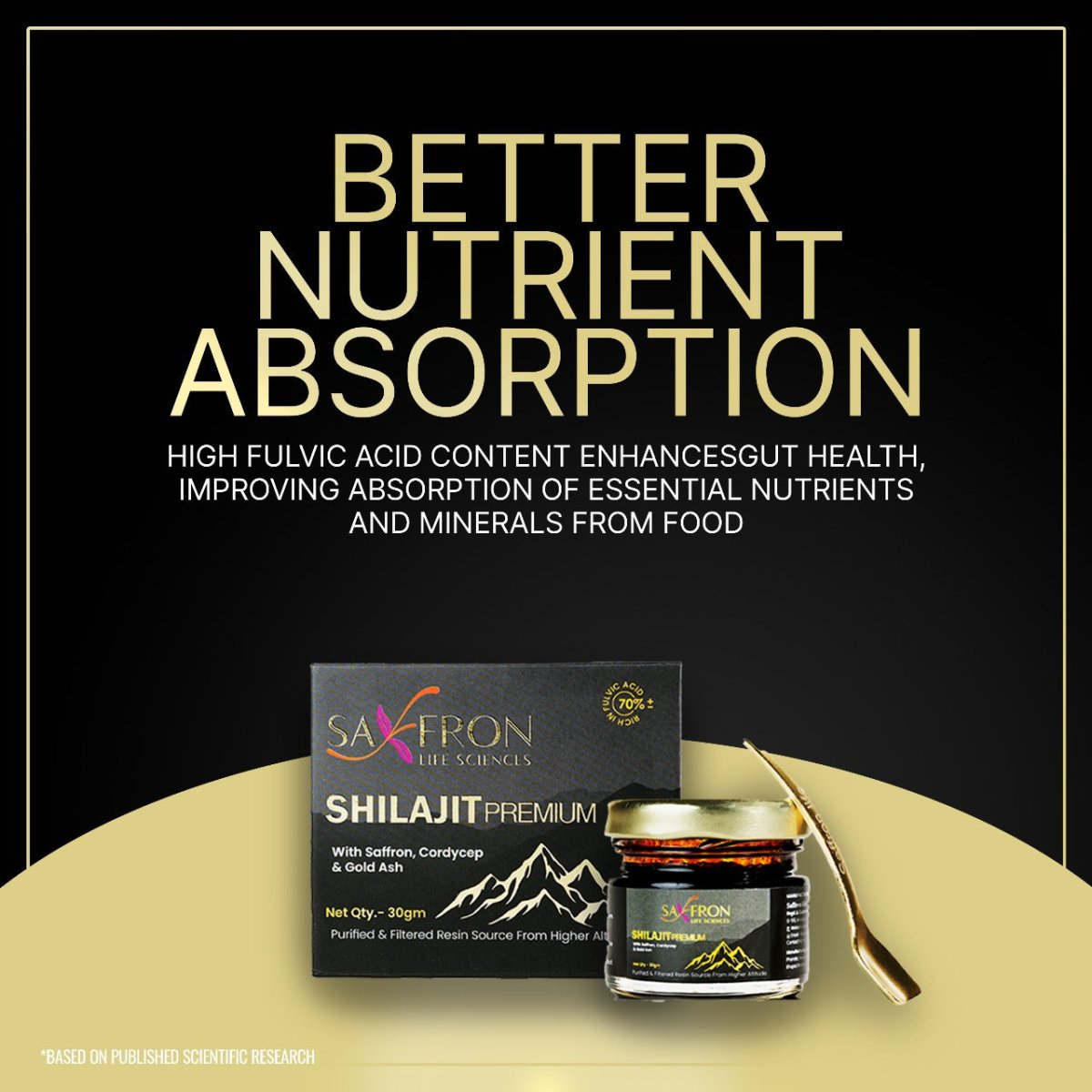 Himalyan Shilajit - Premium