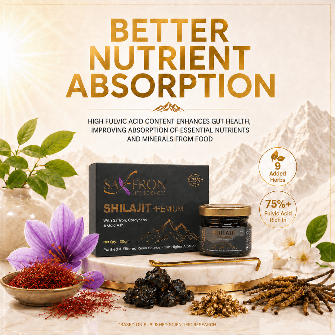 Himalyan Shilajit - Premium