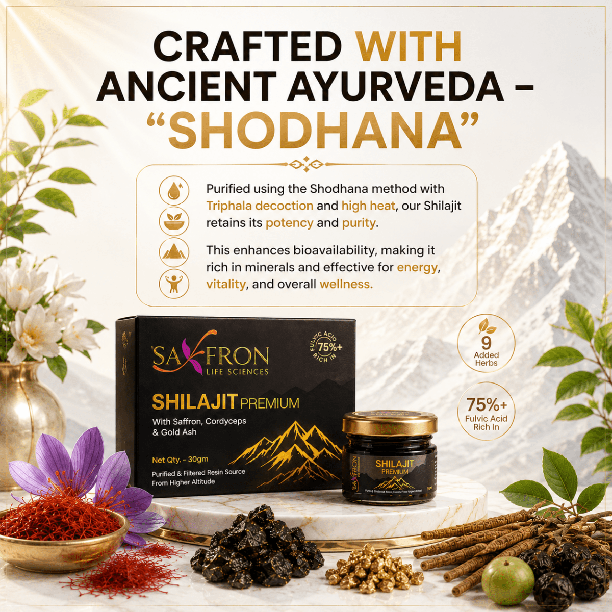 Himalyan Shilajit - Premium