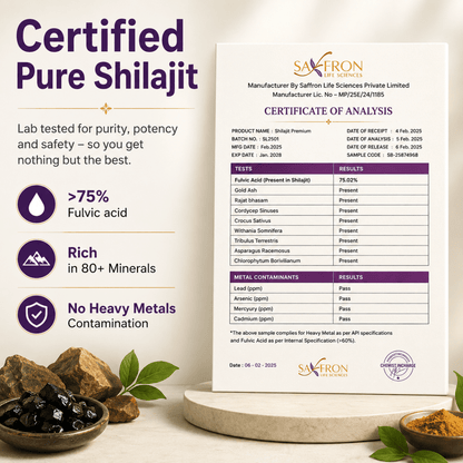 Himalyan Shilajit - Premium